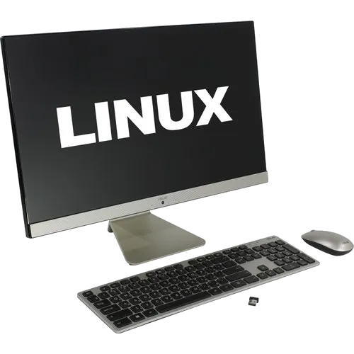 Чистка от вирусов Asus V241ICUK-BA136D